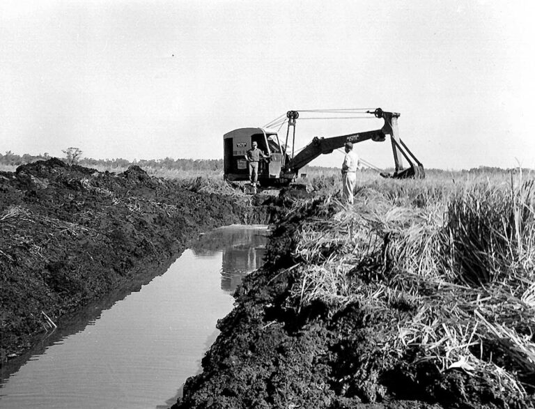 Drainage of Wetlands