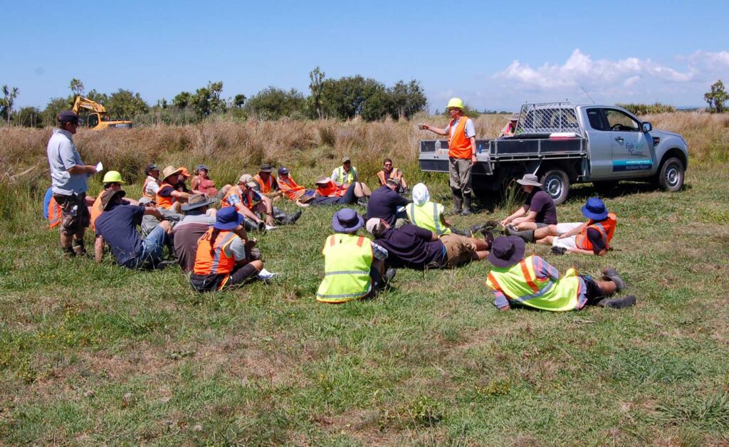 New Zealand Workshops 4 Wetland Restoration