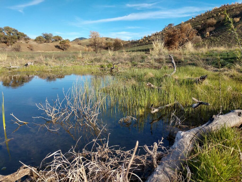 USA AZ Appleton Whittell Research Ranch Liner 3 wetlands