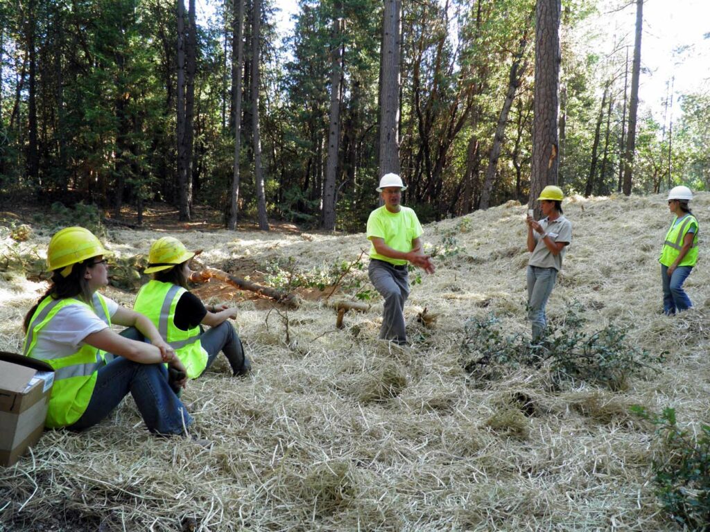 USA CA Eldorado National Forest Workshops 1 Wetland Restoration