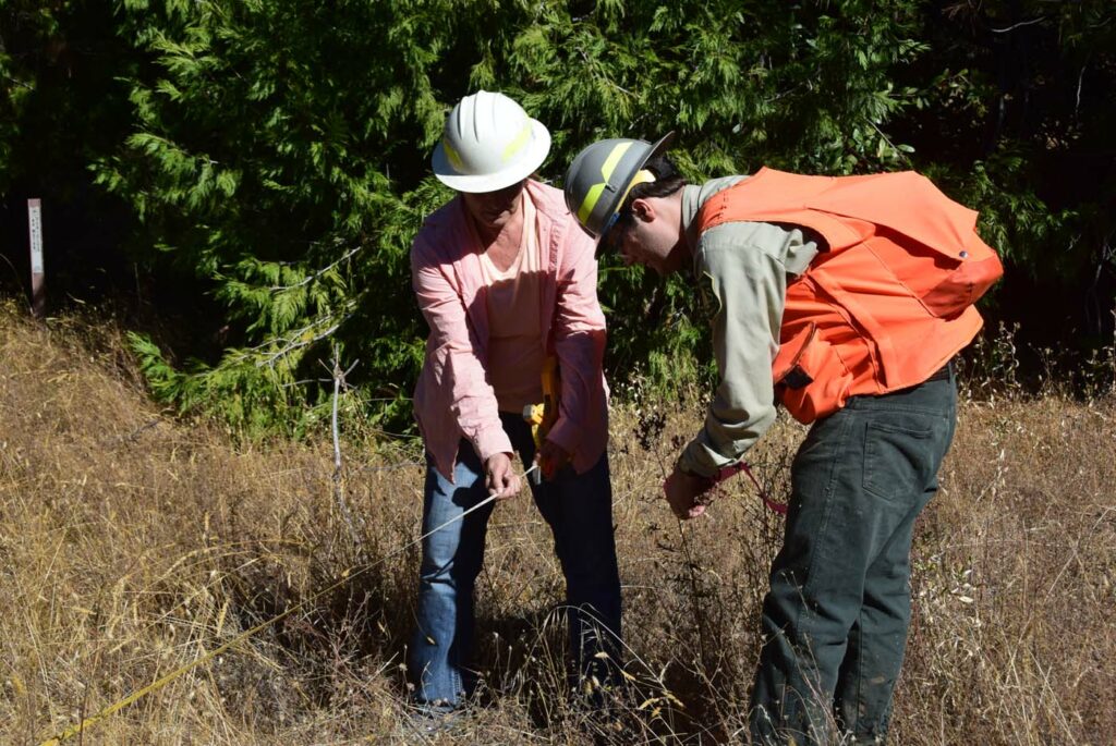 USA CA Plumas National Forest Workshops 3 Wetland Restoration