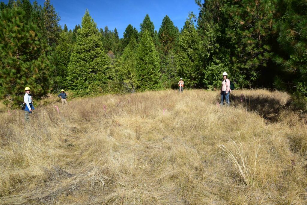 USA CA Plumas National Forest Workshops 5- Wetland Restoration
