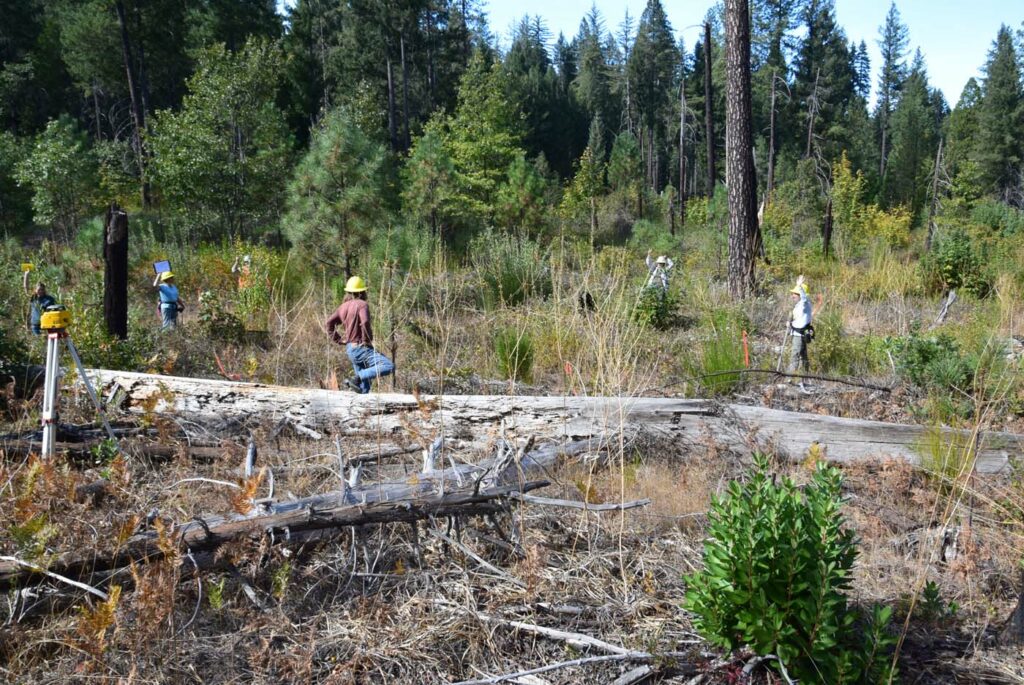 USA CA Plumas National Forest Workshops 6 Wetland Restoration