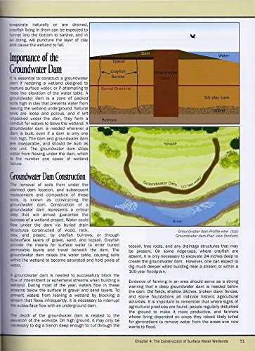 Wetland Restoration and Construction Book Tom Biebighauser dam